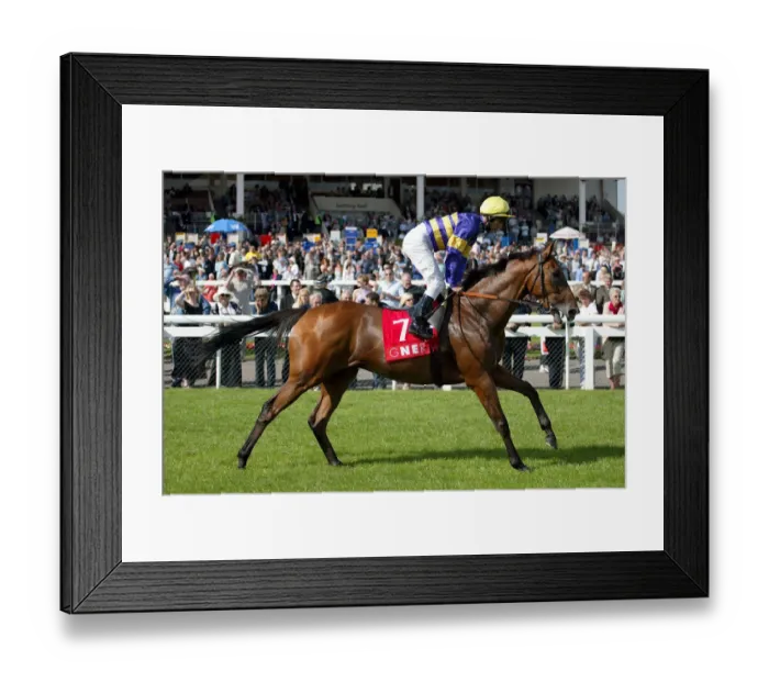 Framed Print : Travelmate Framed Print : Travelmate