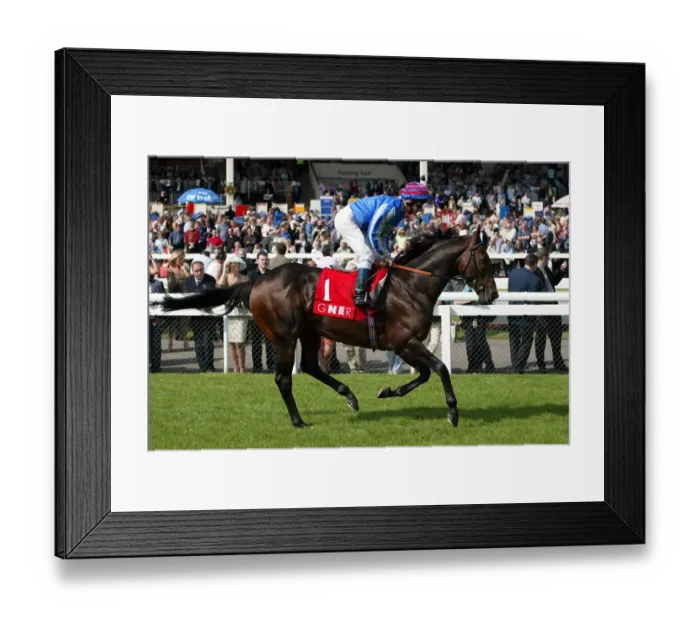 Framed Print : Calcutta Ridden By M.Hills Doncaster Racecourse Doncaster Framed Print : Calcutta Ridden By M.Hills Doncaster Racecourse Doncaster