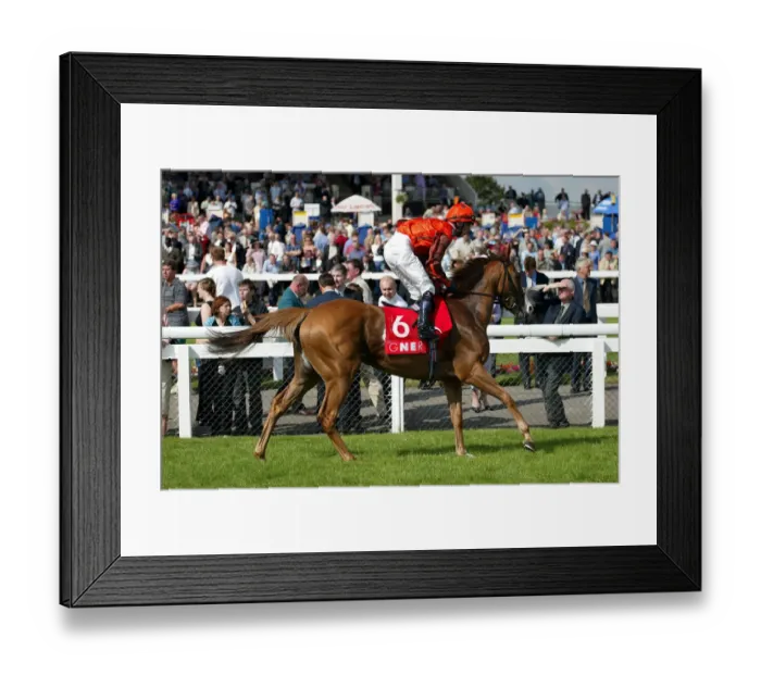 Framed Print : Golden Silca Framed Print : Golden Silca