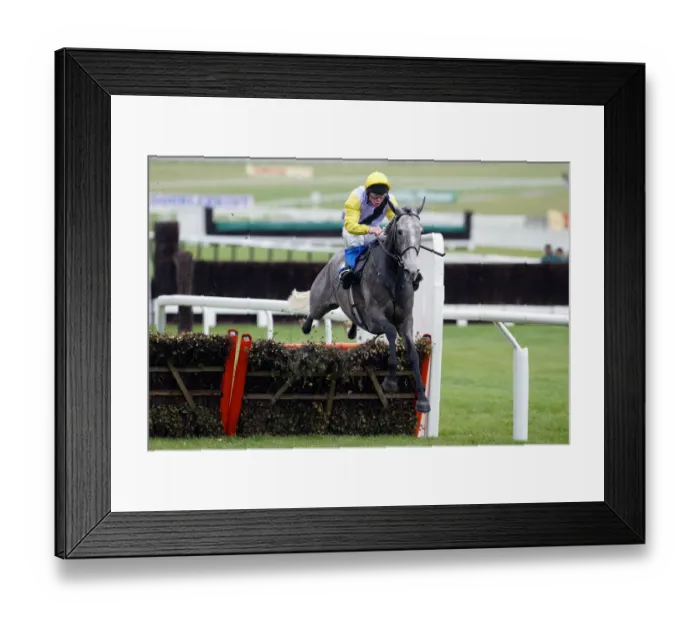 Framed Print : Iriss Gift Framed Print : Iriss Gift