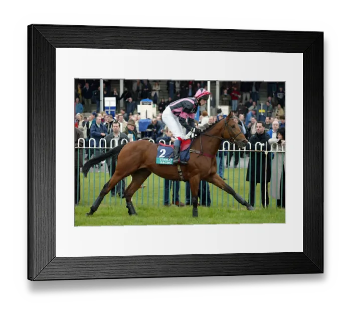 Framed Print : Adecco Ridden By B.J.Crowley Wetherby Races Wetherby Racecoarse Framed Print : Adecco Ridden By B.J.Crowley Wetherby Races Wetherby Racecoarse
