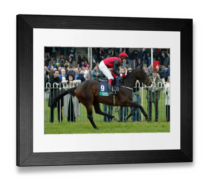 Framed Print : Squibnocket Framed Print : Squibnocket