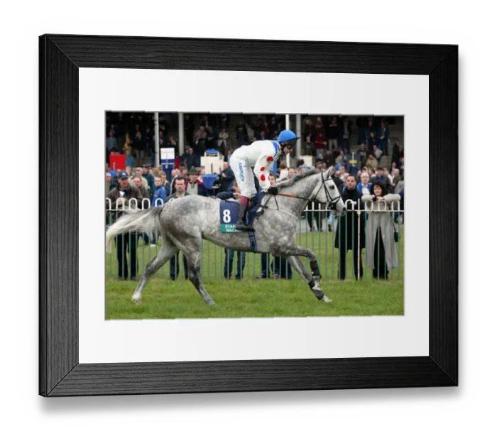 Framed Print : Sporazene Ridden By M.A.Fitzgerald Wetherby Races Wetherby Racecoarse Framed Print : Sporazene Ridden By M.A.Fitzgerald Wetherby Races Wetherby Racecoarse