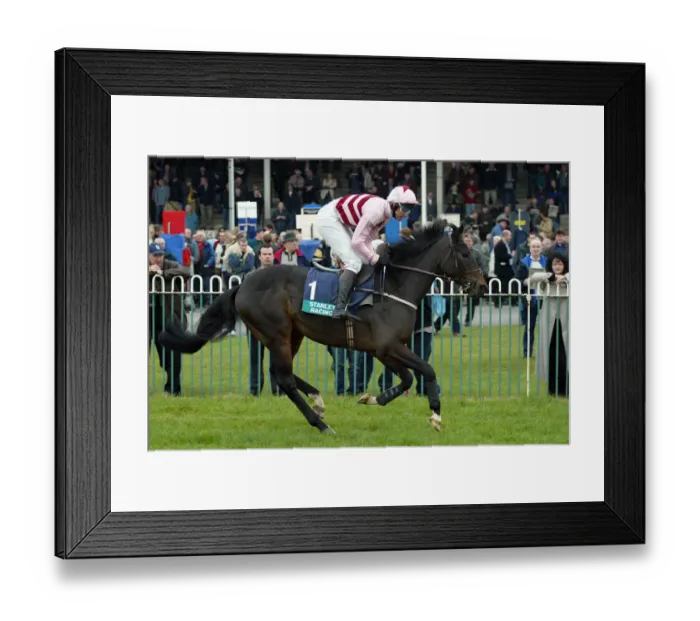 Framed Print : Tunstall Ridden By R.Garritty Wetherby Races Wetherby Racecoarse Framed Print : Tunstall Ridden By R.Garritty Wetherby Races Wetherby Racecoarse