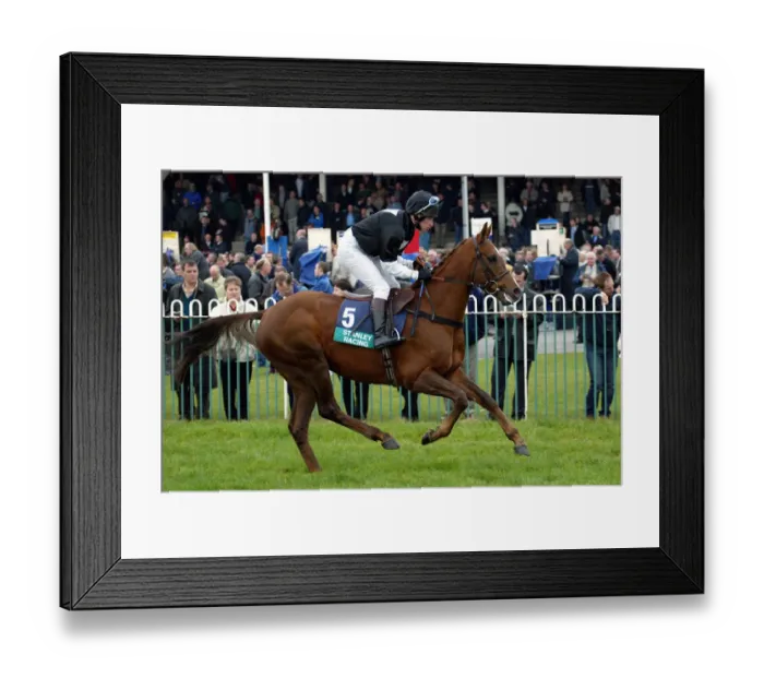 Framed Print : Ilton Ridden By A.Ross Wetherby Races Wetherby Racecoarse Framed Print : Ilton Ridden By A.Ross Wetherby Races Wetherby Racecoarse