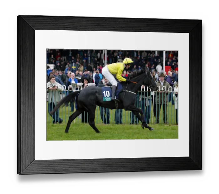 Framed Print : Dash For Gold Framed Print : Dash For Gold