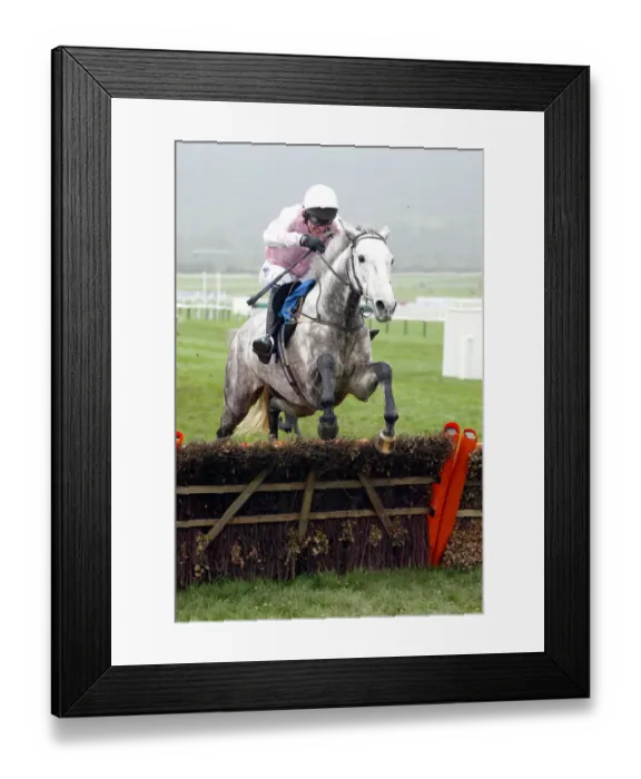 Framed Print : Tucacas Ridden By Tony Mccoy The Open 2002 Cheltenham Racecourse Framed Print : Tucacas Ridden By Tony Mccoy The Open 2002 Cheltenham Racecourse