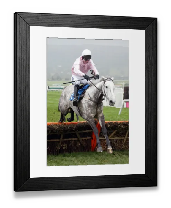 Framed Print : Tucacas Ridden By Tony Mccoy The Open 2002 Cheltenham Racecourse Framed Print : Tucacas Ridden By Tony Mccoy The Open 2002 Cheltenham Racecourse