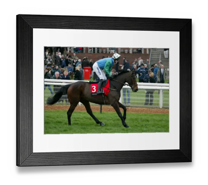 Framed Print : Golden Alpha Framed Print : Golden Alpha