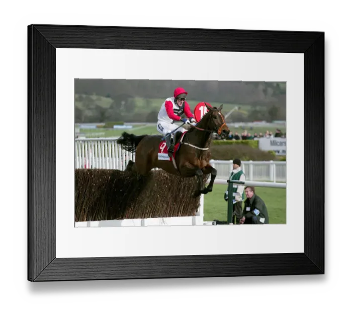 Framed Print : Le Roi Miguel