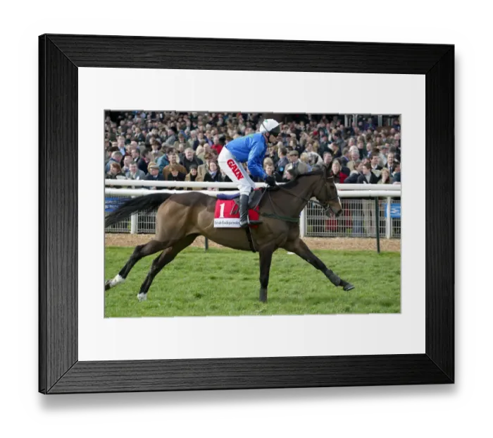 Framed Print : Adamant Approach Framed Print : Adamant Approach