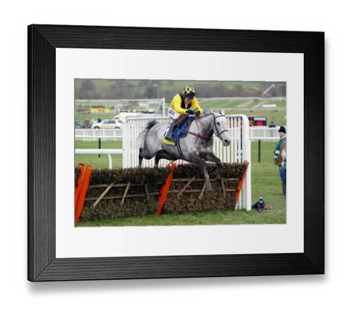 Framed Print : Rooster Booster Framed Print : Rooster Booster