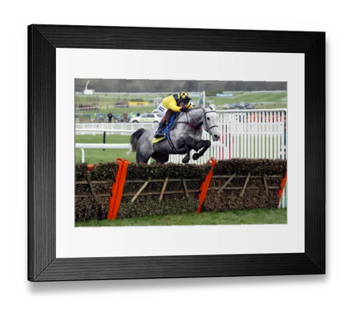 Framed Print : Rooster Booster