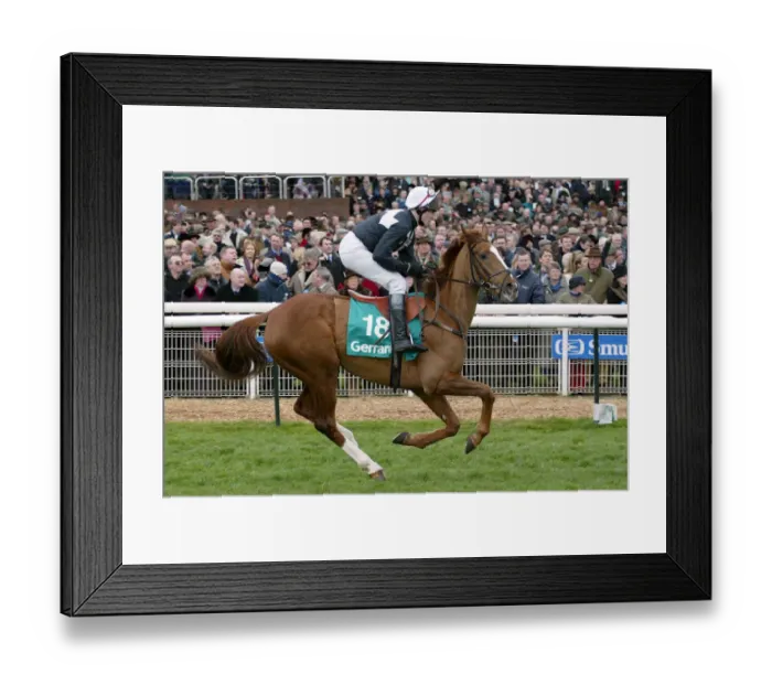 Framed Print : Prince Dimitri Framed Print : Prince Dimitri
