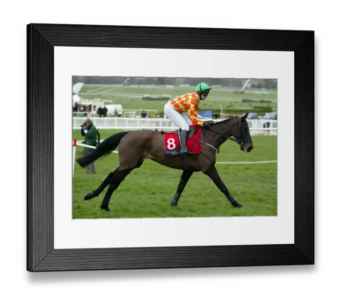 Framed Print : Lord Sam Ridden By W.Marston Cheltenham Festival 2003 Cheltenham Racecourse