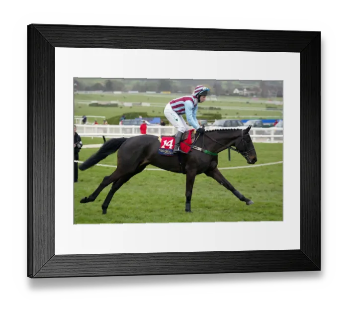 Framed Print : Rosslea Ridden By J.Culloty Cheltenham Festival 2003 Cheltenham Racecourse Framed Print : Rosslea Ridden By J.Culloty Cheltenham Festival 2003 Cheltenham Racecourse