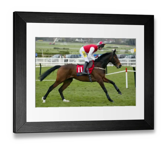 Framed Print : Nil Desperandum Framed Print : Nil Desperandum