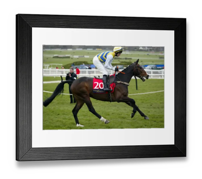Framed Print : Native Sparkle Framed Print : Native Sparkle