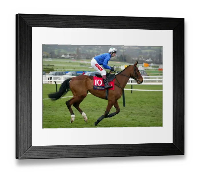 Framed Print : Mossy Green Framed Print : Mossy Green