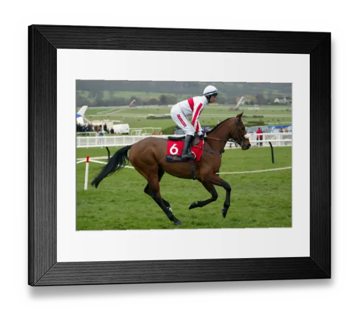 Framed Print : Hi Cloy Ridden By T.J.Murphy Cheltenham Festival 2003 Cheltenham Racecourse Framed Print : Hi Cloy Ridden By T.J.Murphy Cheltenham Festival 2003 Cheltenham Racecourse