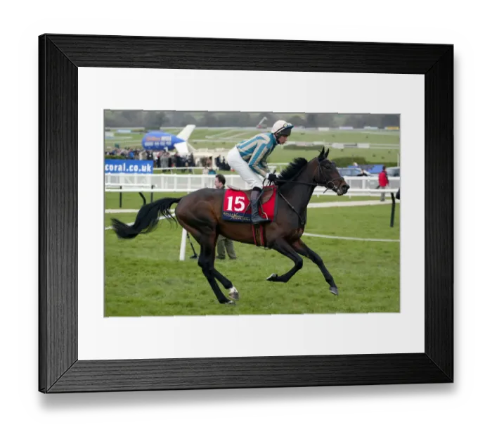 Framed Print : Saitensohn Framed Print : Saitensohn