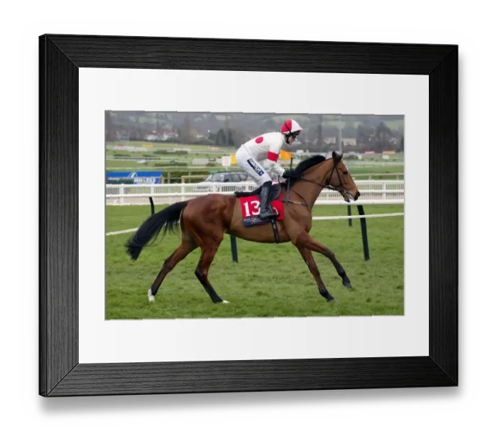 Framed Print : Puntal Ridden By T.Mccoy Cheltenham Festival 2003 Cheltenham Racecourse Framed Print : Puntal Ridden By T.Mccoy Cheltenham Festival 2003 Cheltenham Racecourse