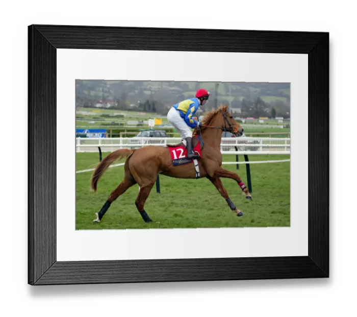 Framed Print : Pizarro Ridden By N.Williamson Cheltenham Festival 2003 Cheltenham Racecourse Framed Print : Pizarro Ridden By N.Williamson Cheltenham Festival 2003 Cheltenham Racecourse