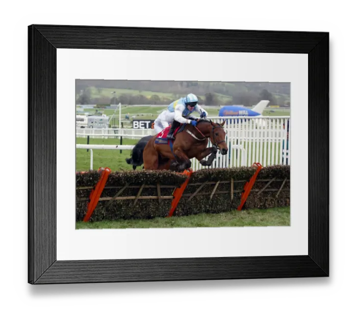 Framed Print : Hardy Eustace