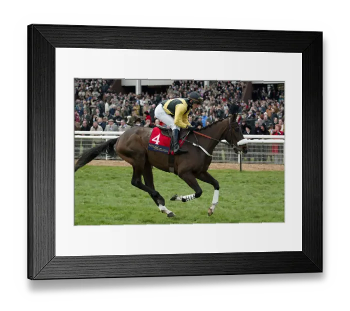 Framed Print : Jair Du Cochet Framed Print : Jair Du Cochet