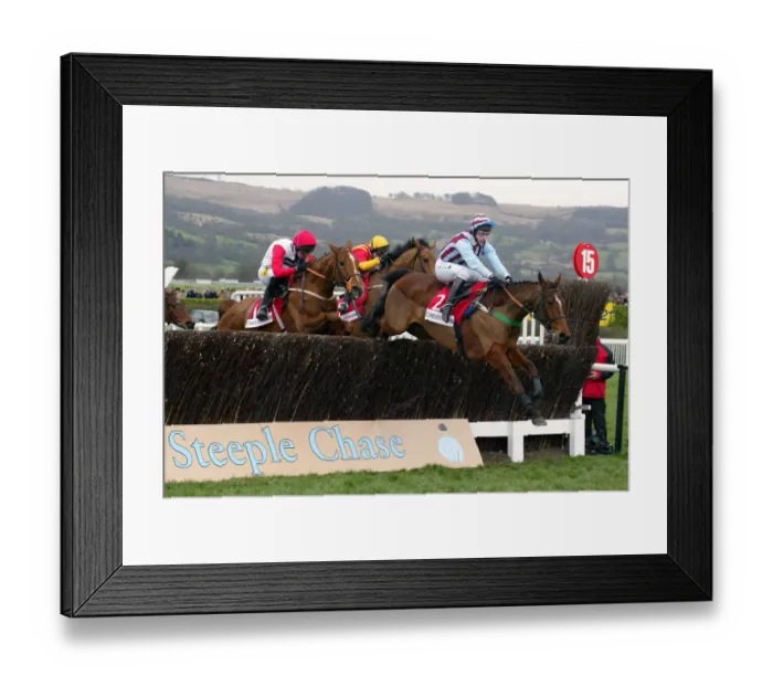 Framed Print : Edredon Bleu Framed Print : Edredon Bleu