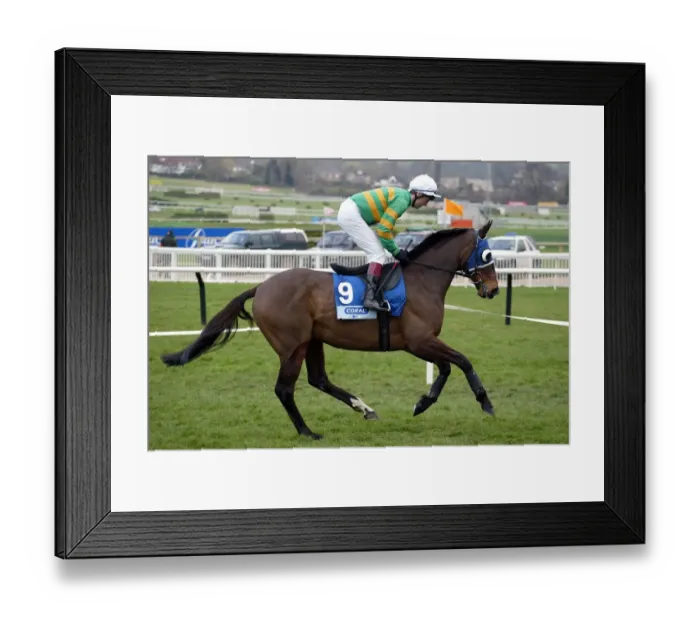 Framed Print : Yeomans Point Framed Print : Yeomans Point
