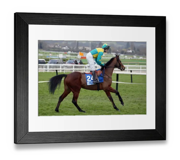 Framed Print : Anatar Ridden By T.Scudamore Cheltenham Festival 2003 Cheltenham Racecourse