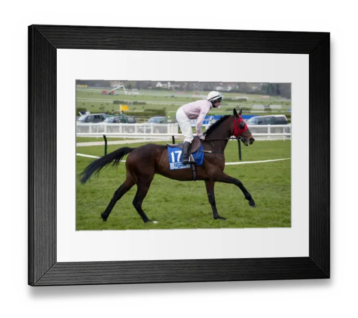 Framed Print : Chicuelo Ridden By D.J.Howard Cheltenham Festival 2003 Cheltenham Racecourse Framed Print : Chicuelo Ridden By D.J.Howard Cheltenham Festival 2003 Cheltenham Racecourse
