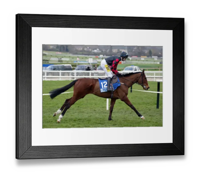 Framed Print : Dream With Me Framed Print : Dream With Me