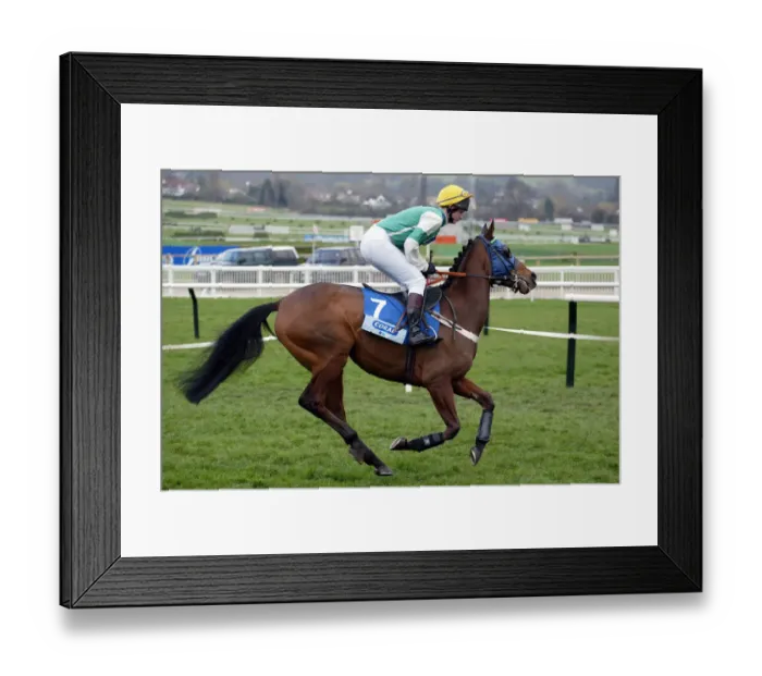 Framed Print : Majestic. Ridden By W.A.Worthington Cheltenham Festival 2003 Cheltenham Racecourse Framed Print : Majestic. Ridden By W.A.Worthington Cheltenham Festival 2003 Cheltenham Racecourse