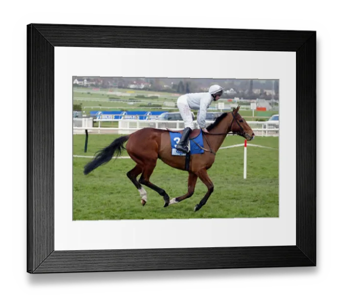 Framed Print : Mr Cool Ridden By J.E.Moore Cheltenham Festival 2003 Cheltenham Racecourse Framed Print : Mr Cool Ridden By J.E.Moore Cheltenham Festival 2003 Cheltenham Racecourse
