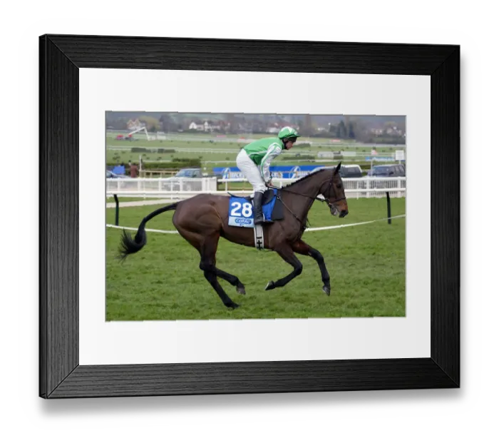 Framed Print : Tardar Ridden By L.Cooper Cheltenham Festival 2003 Cheltenham Racecourse Framed Print : Tardar Ridden By L.Cooper Cheltenham Festival 2003 Cheltenham Racecourse