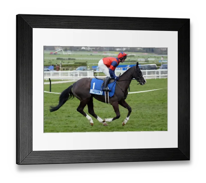 Framed Print : Quazar Ridden By R.Flavin Cheltenham Festival 2003 Cheltenham Racecourse