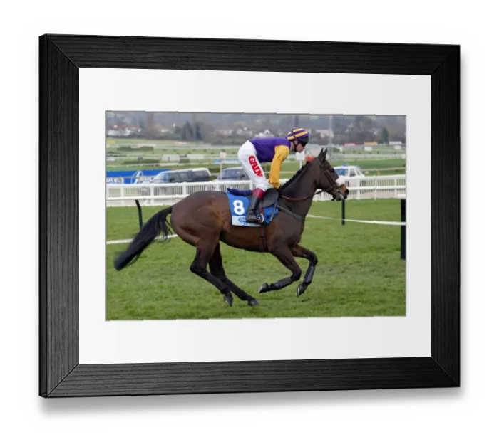 Framed Print : Thari Ridden By P.Carberry Cheltenham Festival 2003 Cheltenham Racecourse Framed Print : Thari Ridden By P.Carberry Cheltenham Festival 2003 Cheltenham Racecourse