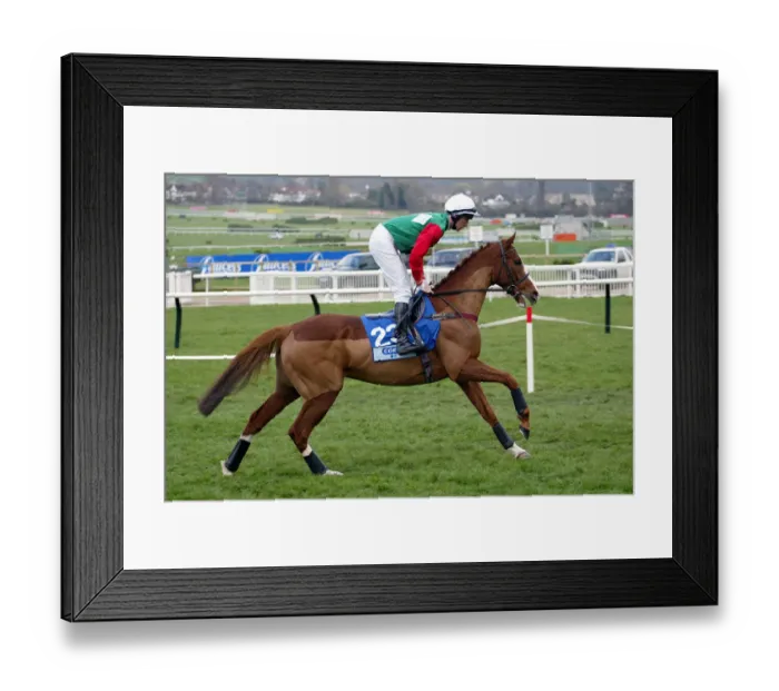 Framed Print : Taming Ridden By D.N.Russell Cheltenham Festival 2003 Cheltenham Racecourse Framed Print : Taming Ridden By D.N.Russell Cheltenham Festival 2003 Cheltenham Racecourse
