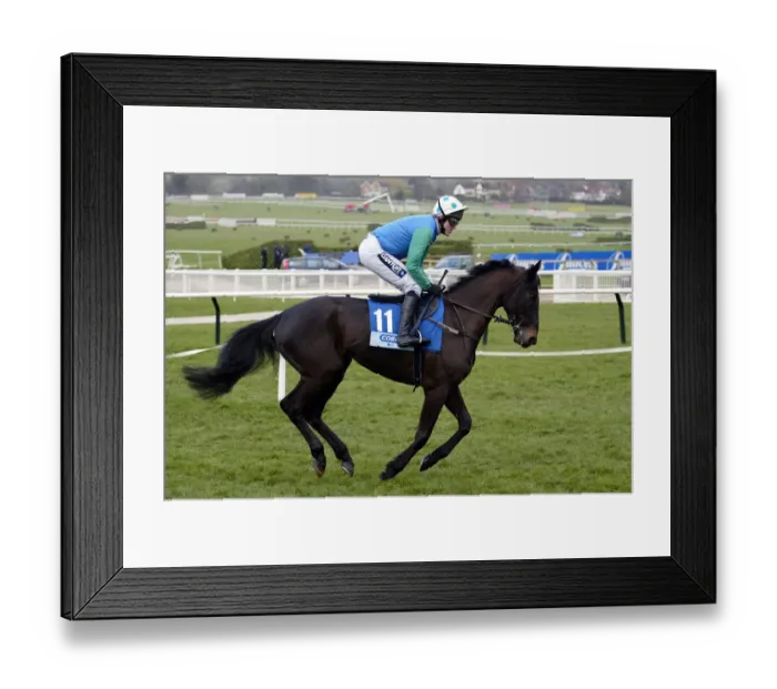 Framed Print : Korelo Ridden By T.Mccoy Cheltenham Festival 2003 Cheltenham Racecourse Framed Print : Korelo Ridden By T.Mccoy Cheltenham Festival 2003 Cheltenham Racecourse