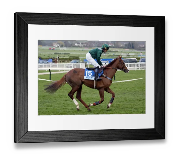 Framed Print : Arabian Moon