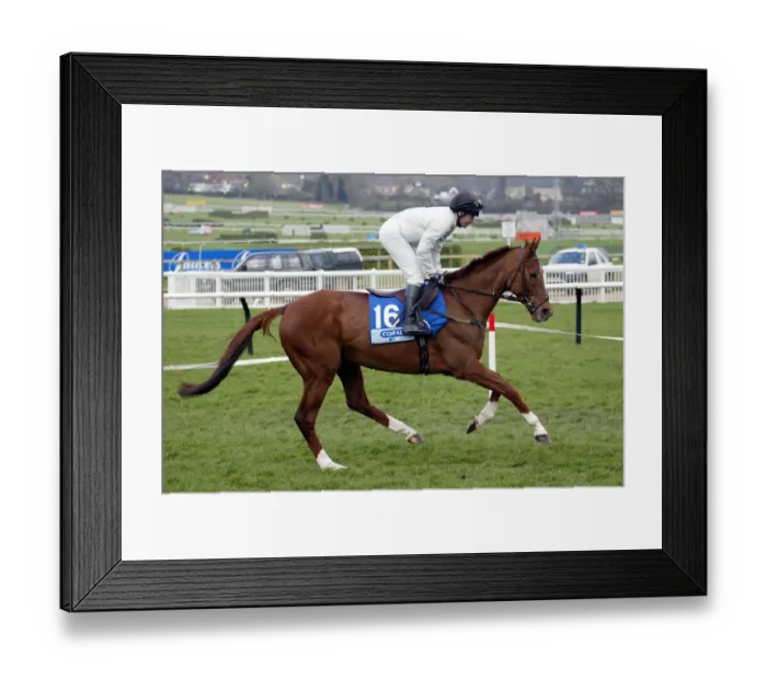 Framed Print : Samon Ridden By D.J.Casey Cheltenham Festival 2003 Cheltenham Racecourse Framed Print : Samon Ridden By D.J.Casey Cheltenham Festival 2003 Cheltenham Racecourse