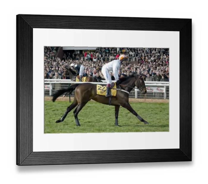 Framed Print : Saintsaire Framed Print : Saintsaire