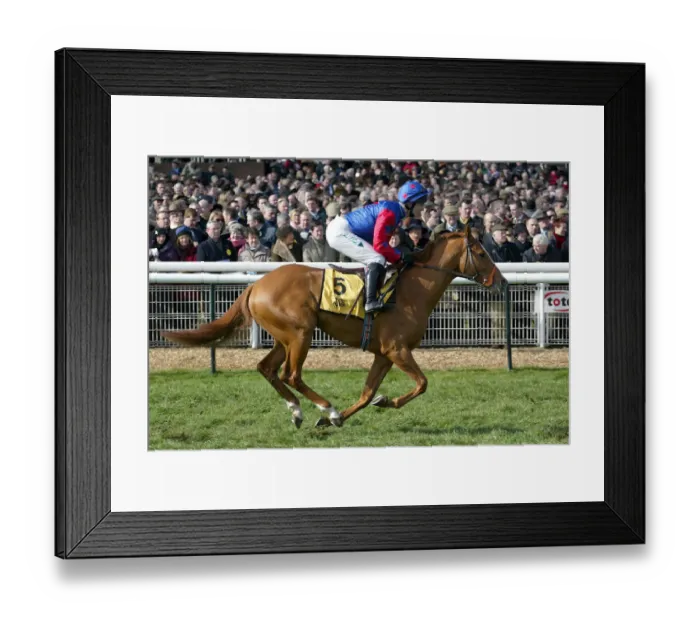 Framed Print : Duke Of Earl Framed Print : Duke Of Earl