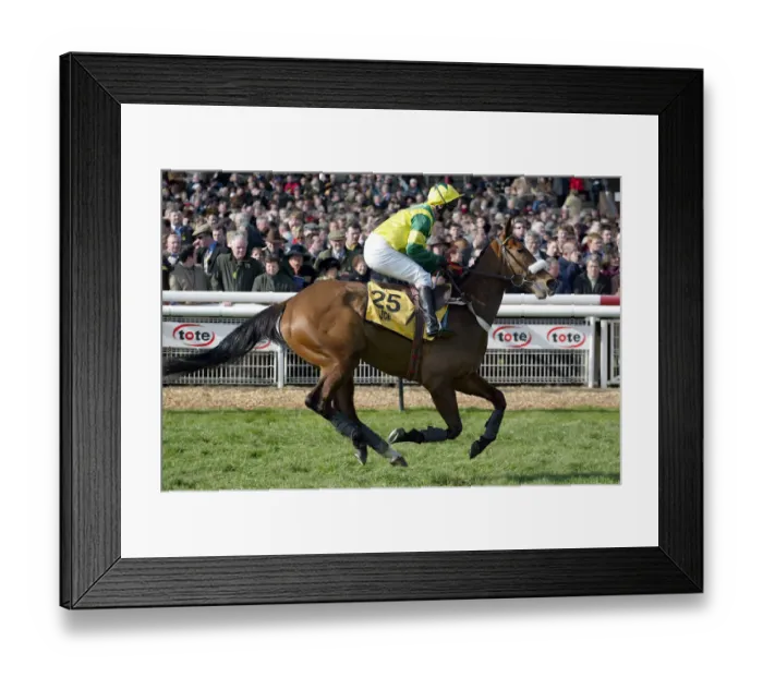 Framed Print : Tanikos Ridden By J.R.Kavanagh Cheltenham Festival 2003 Cheltenham Racecourse Framed Print : Tanikos Ridden By J.R.Kavanagh Cheltenham Festival 2003 Cheltenham Racecourse
