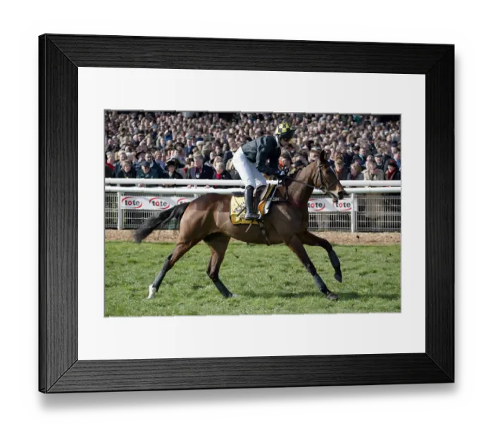 Framed Print : Turbo Ridden By G.Lee Cheltenham Festival 2003 Cheltenham Racecourse