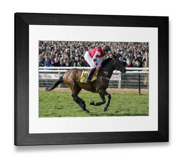 Framed Print : Mughas Ridden By R.Thornton Cheltenham Festival 2003 Cheltenham Racecourse Framed Print : Mughas Ridden By R.Thornton Cheltenham Festival 2003 Cheltenham Racecourse