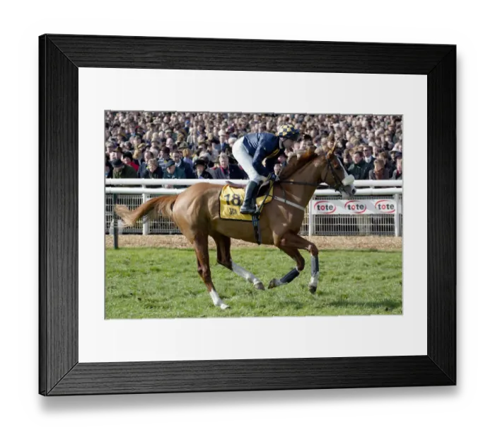 Framed Print : Newlands Gold Framed Print : Newlands Gold