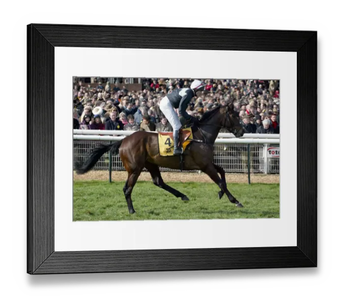 Framed Print : Don Fernando Framed Print : Don Fernando